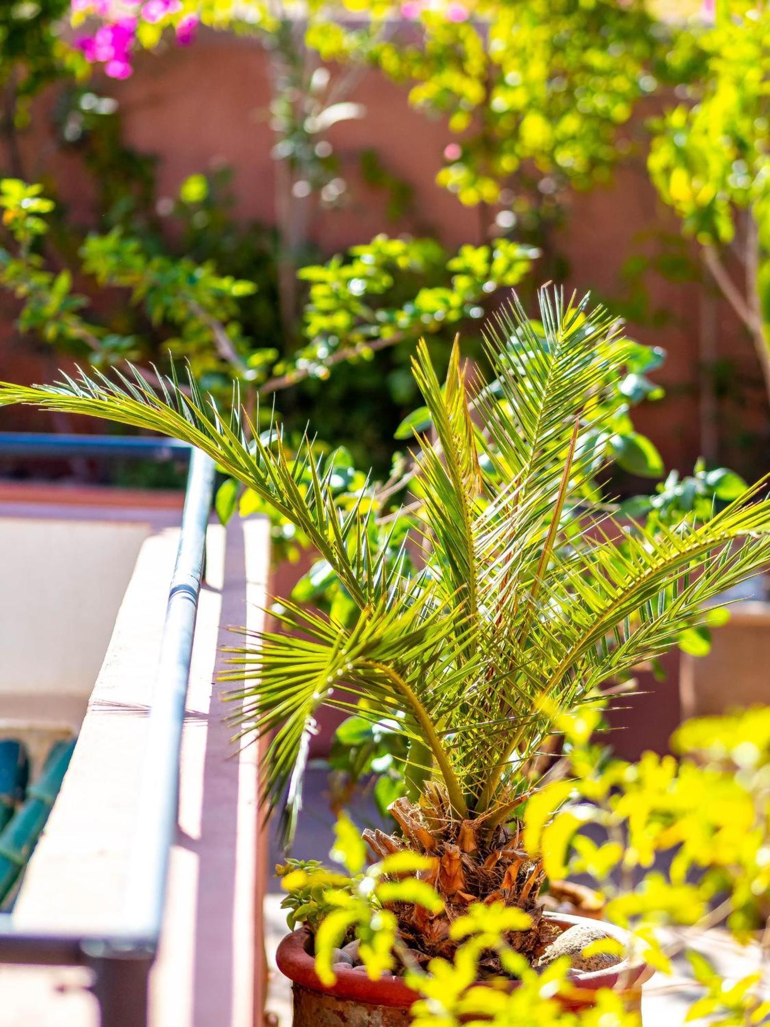 Riad L'Orange Bleue Μαρακές Εξωτερικό φωτογραφία